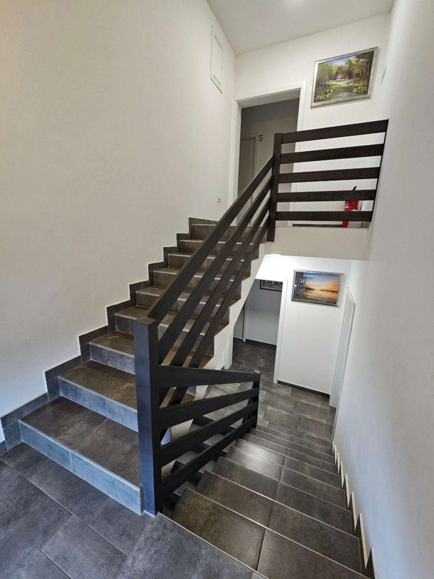 Filipovic Rent A Car & Apartments Selnica Scitarjevska Kültér fotó