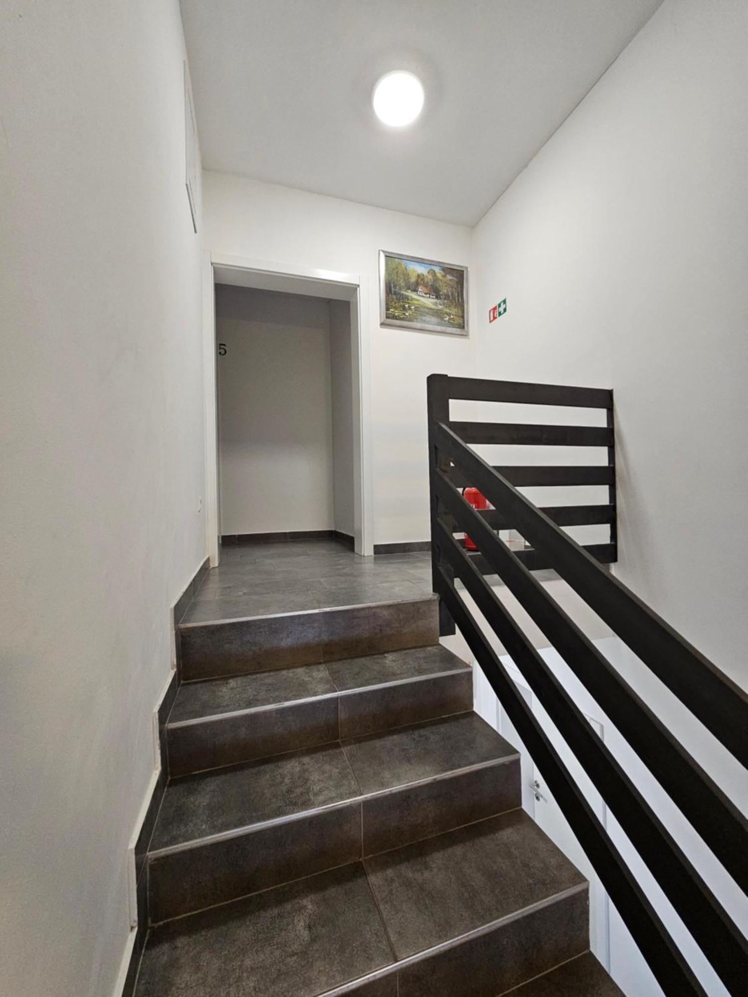 Filipovic Rent A Car & Apartments Selnica Scitarjevska Kültér fotó
