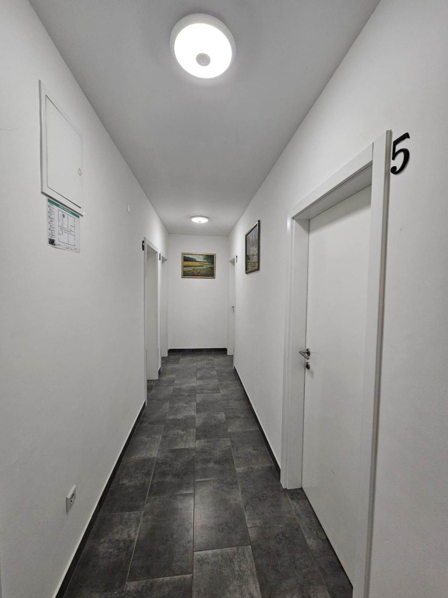 Filipovic Rent A Car & Apartments Selnica Scitarjevska Kültér fotó